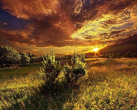 Soul Connection of voices ~ 💛