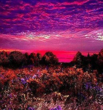 Suicidal lust or Love ~