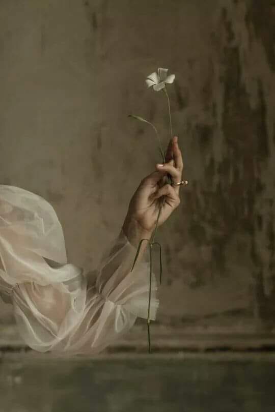 Don’t fall in love with a Woman ~