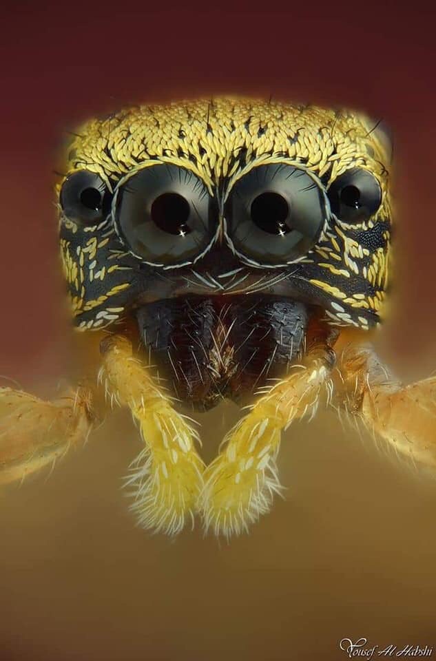 Oh my goodness gracious what next ~