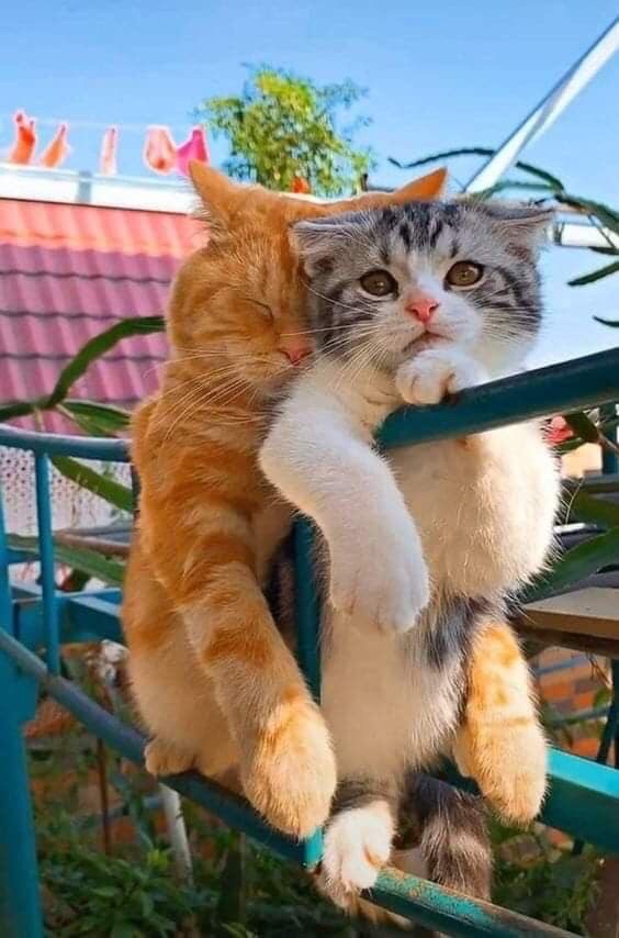 Donβt look at me like that π