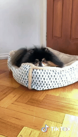 Occasionally instead of writing the Days of your Lives. Share simple thoughts to somebody who needs to realize we care about you. Kindness 😌😌