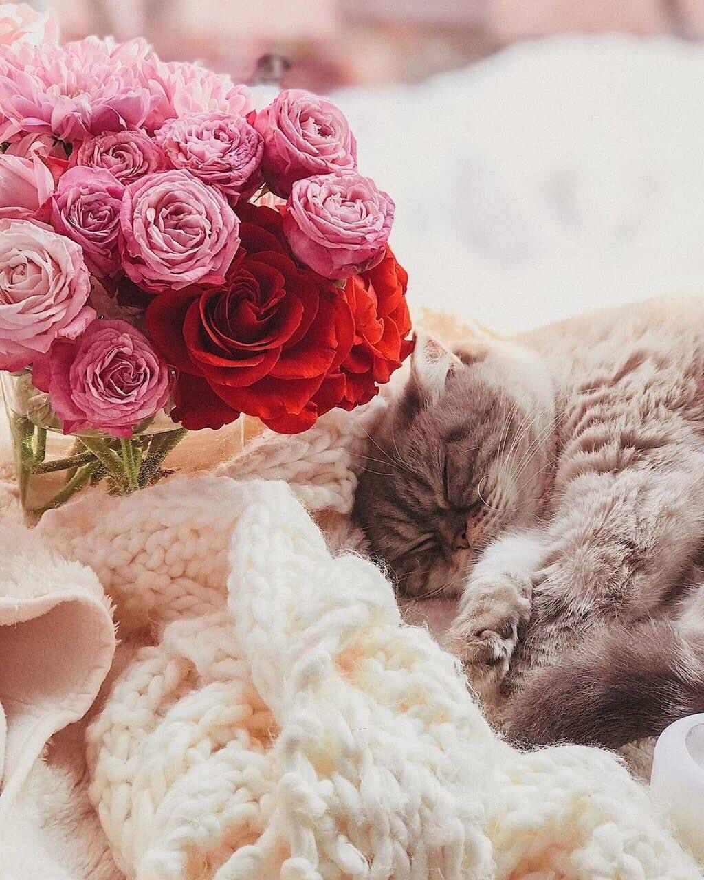 Kindness ⚜️⚜️⚜️⚜️⚜️