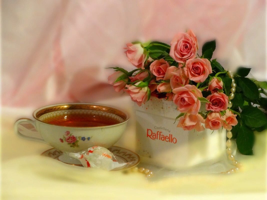 Kindness ⚜️⚜️⚜️⚜️⚜️