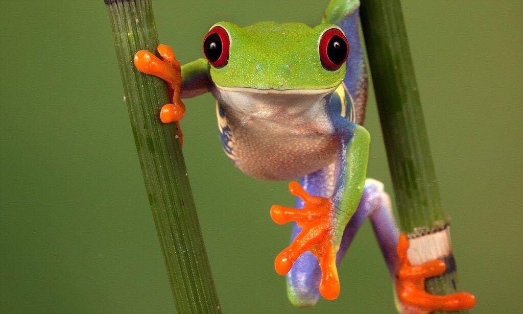 Oh my goodness, 💡💡