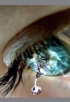 BETRAYAL – A SACRIFICE!⚜️⚜️⚜️⚜️⚜️⚜️