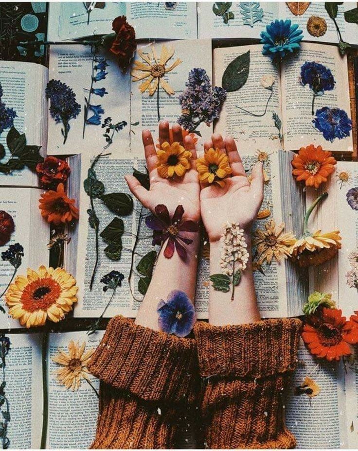 Bob Montgomery, who appeared on the TV show ‘Big Brother’ as a consultant, faces up to 14 years in jail after pleading guilty to abusing 12-year-old boys while he was a scoutmaster in Sydney in the 1960s.