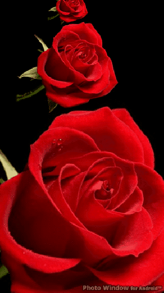 Leave Footprints of Kindness everywhere you go 😌😌 Shalom 🕯🕯