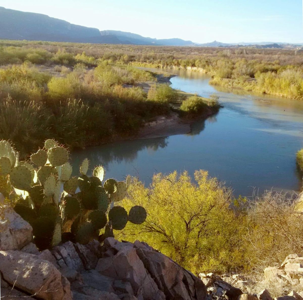 Ben H. English ⚜️⚜️⚜️