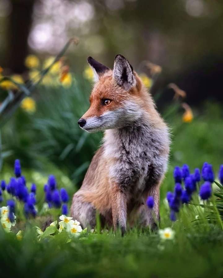 Mysterious Some Days