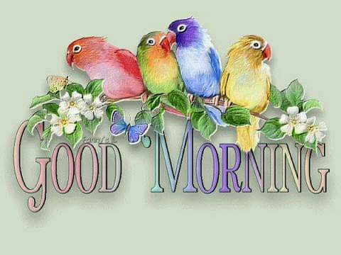 Plant What You Want — Source of Inspiration …. re blogged