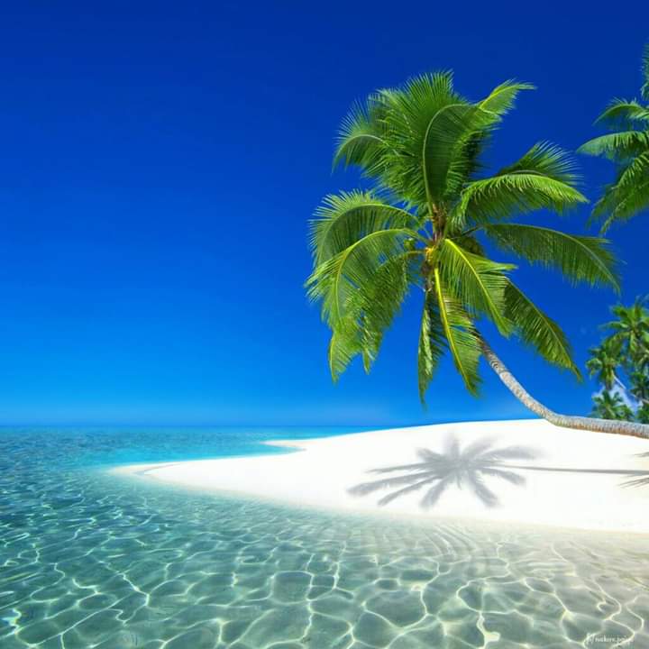 Flag of the Southern Cross – Henry Lawson