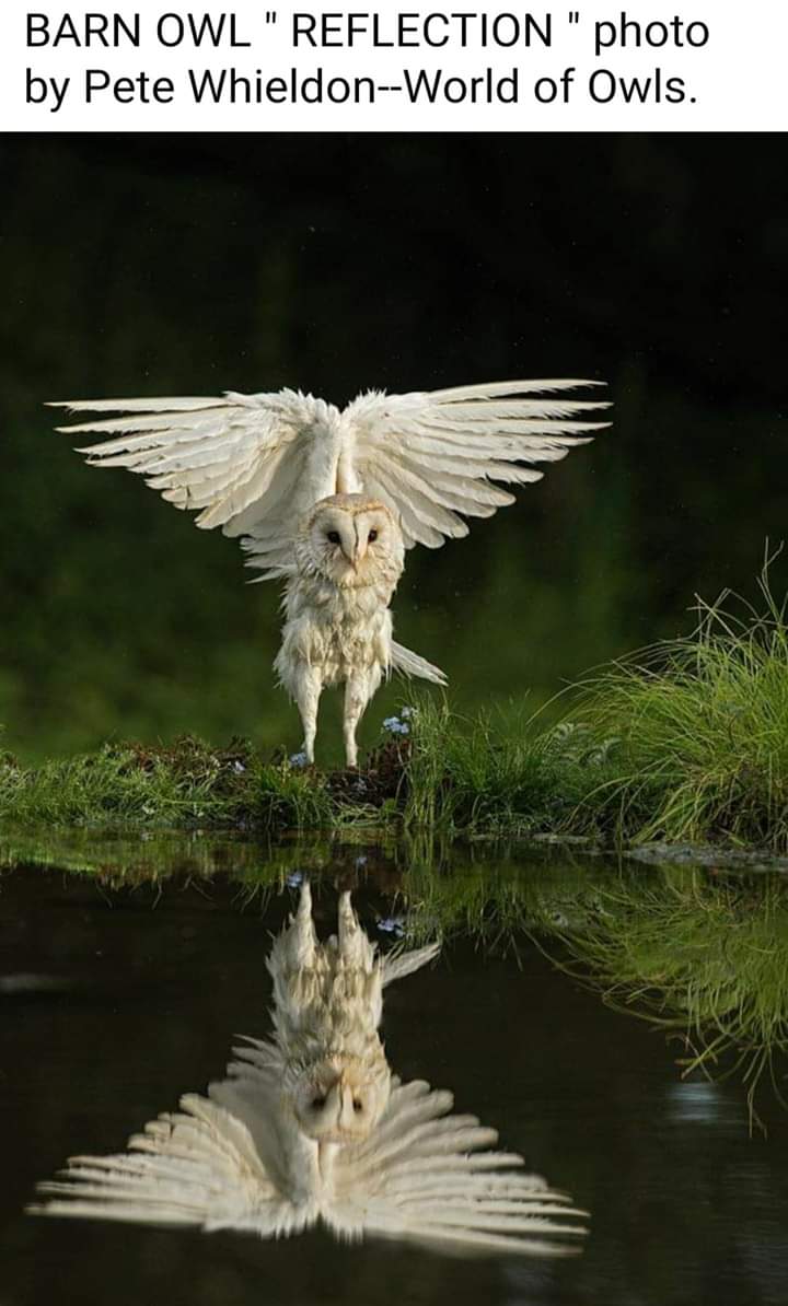 Three Thousand Five Hundred Years Old … Seventy Two Years Young