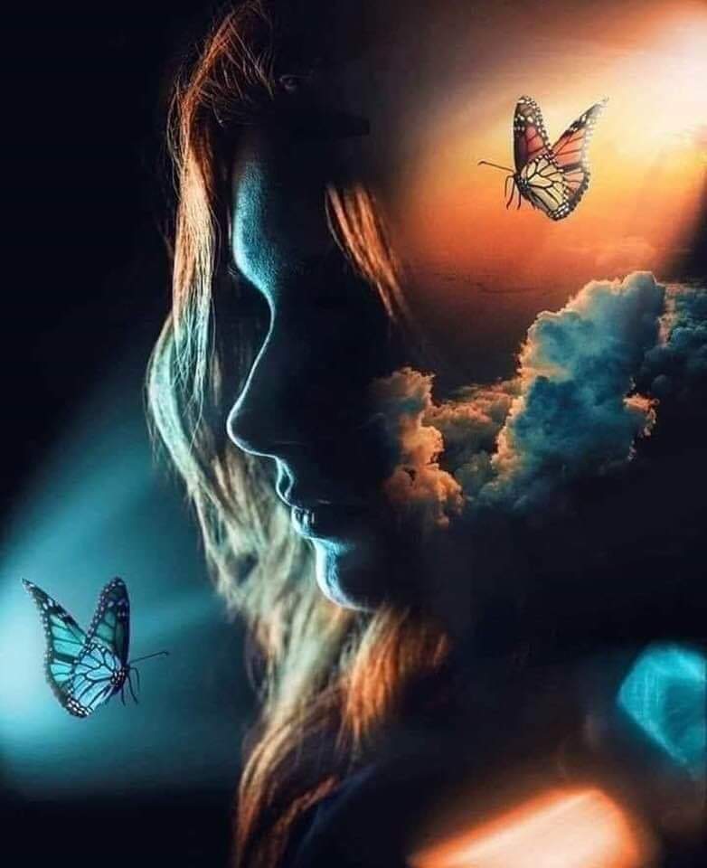 Today Stan lost his child; I reached out to silence