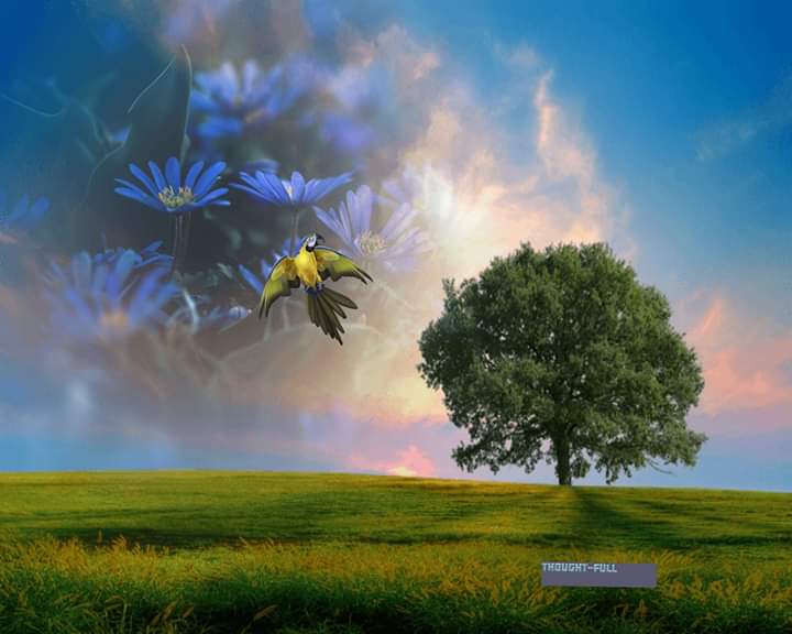 Face your Fear’s many Faces