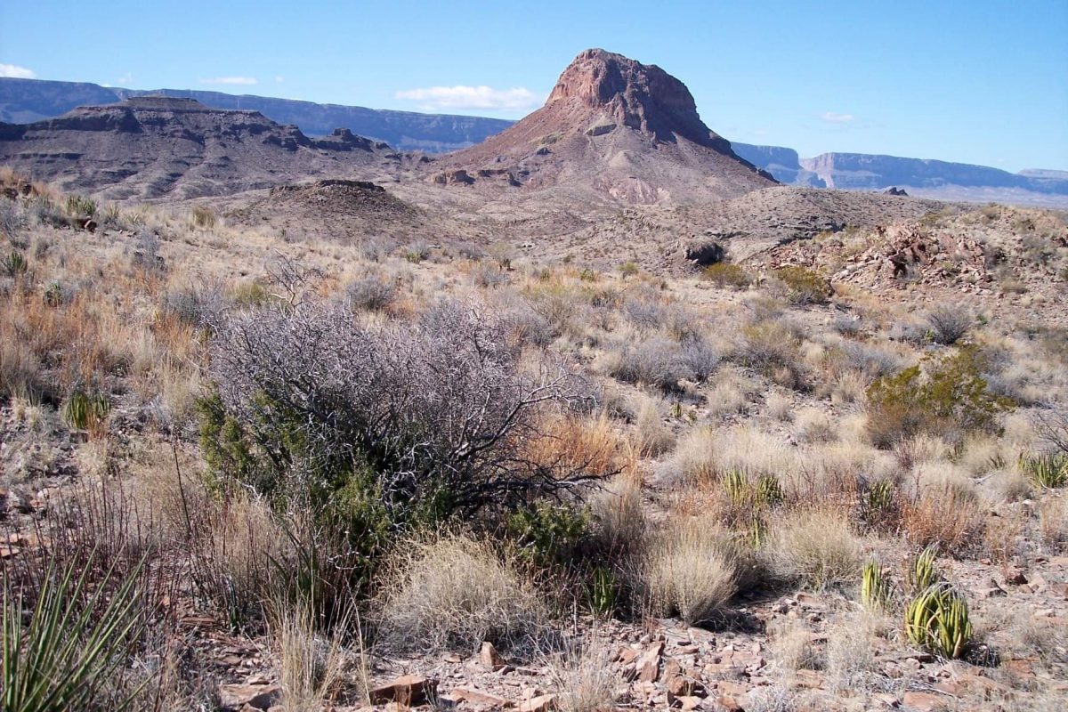 Alpine, Texas  ~Ben H. English ~ #alllivesmatter ~ #wecareaustaliaaboutyourhistory ⚜️⚜️⚜️