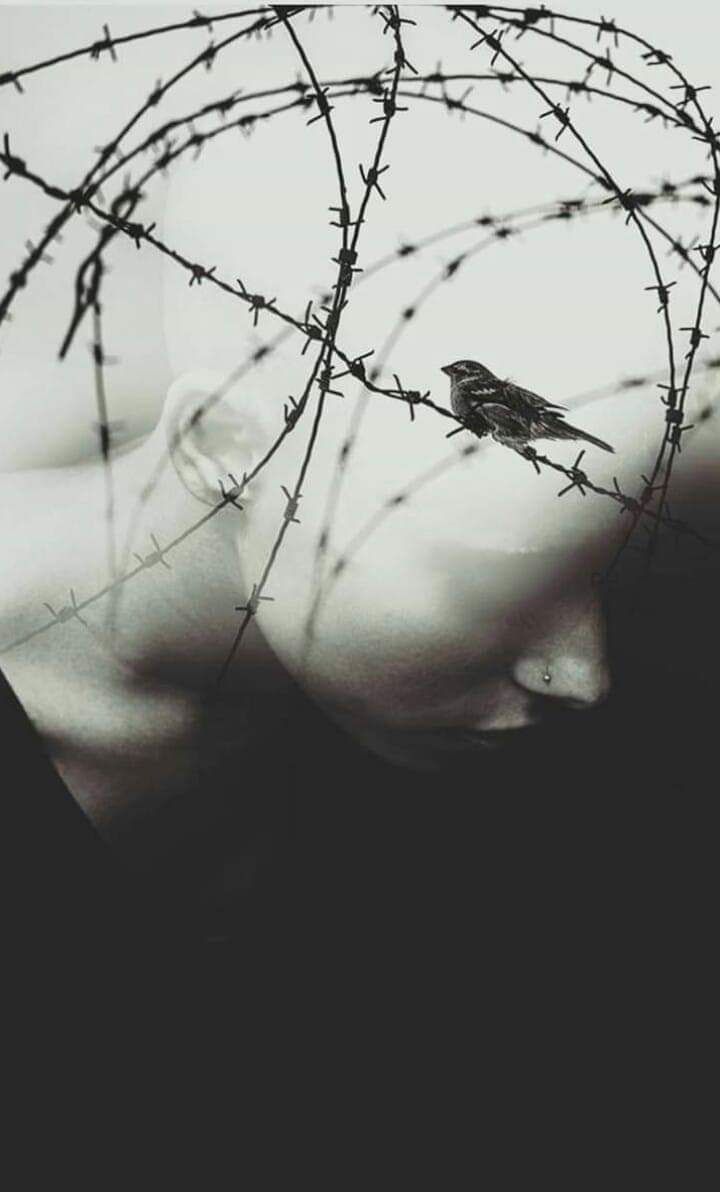 KILL THE MESSENGER: WikiLeaks Attorney – ‘US Plotted To Assassinate Julian Assange’