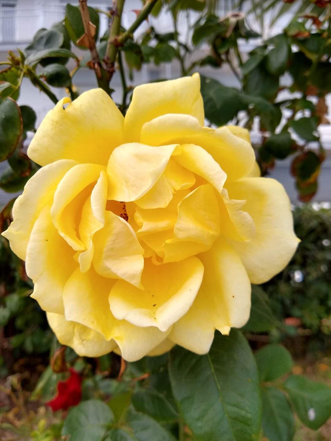 Beneath the black rocks