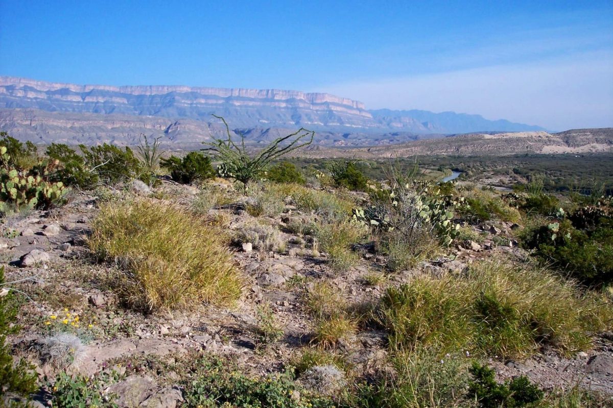 Ben. H. English ~ Alpine. Texas