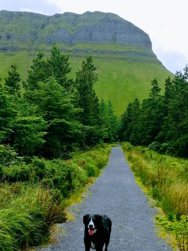 Watch “If i could be where you are – Enya    Lyrics” on YouTube