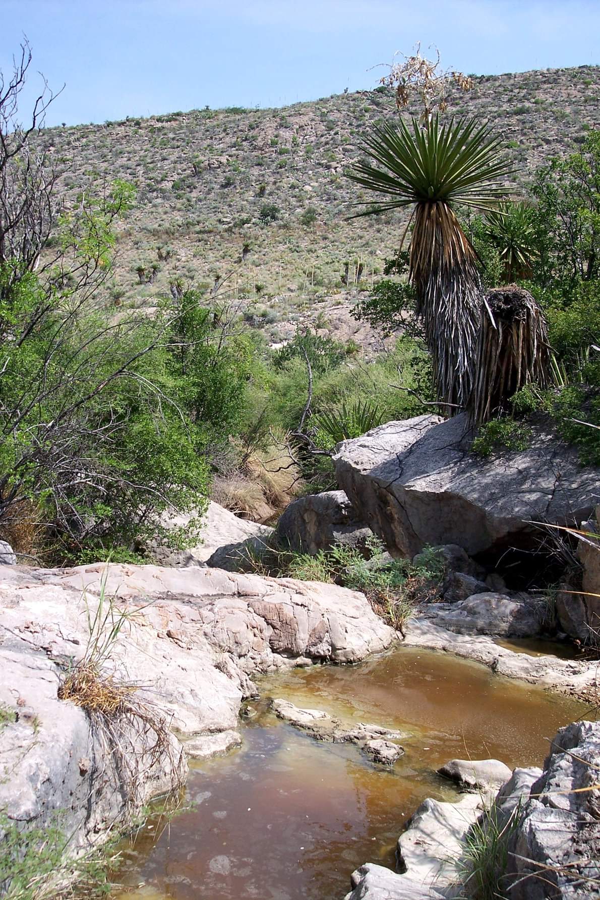 Ben H. English – Alpine – Texas