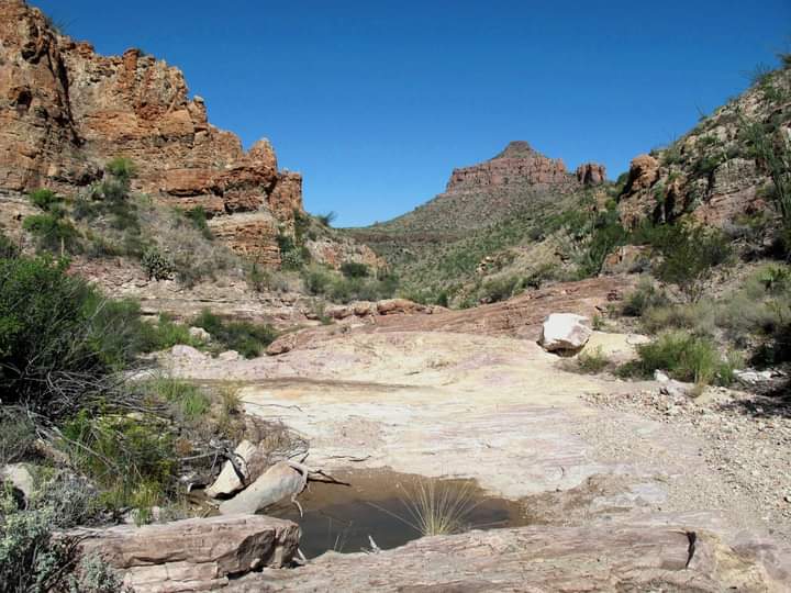 Ben H. English – Author 💥