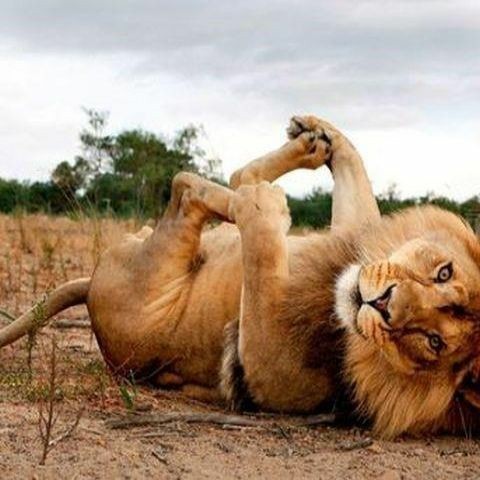 Little things I do to keep my life simple 😁