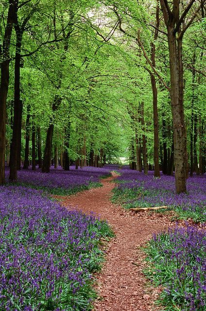 For the Bed at Kelmscott –