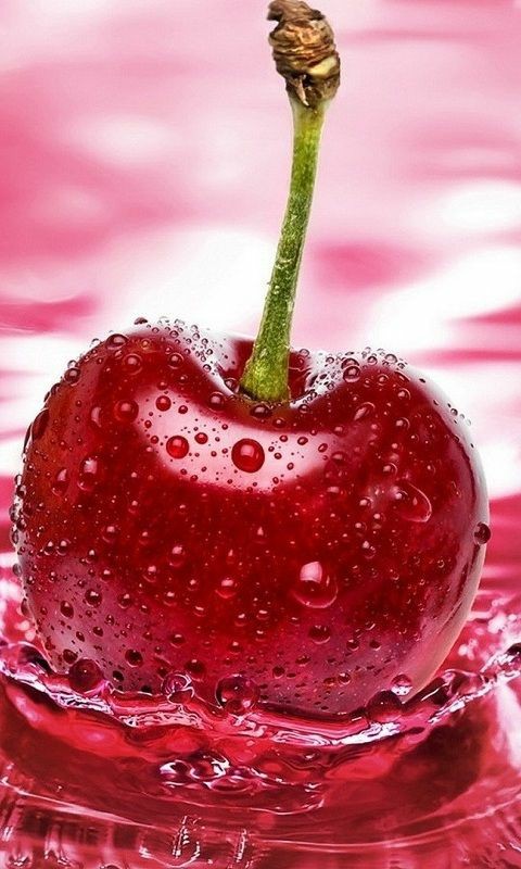 The Story of Sigurd the Volsung