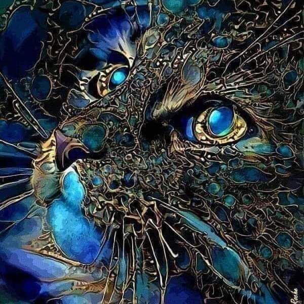 The look of love is in your eyes β€οΈ