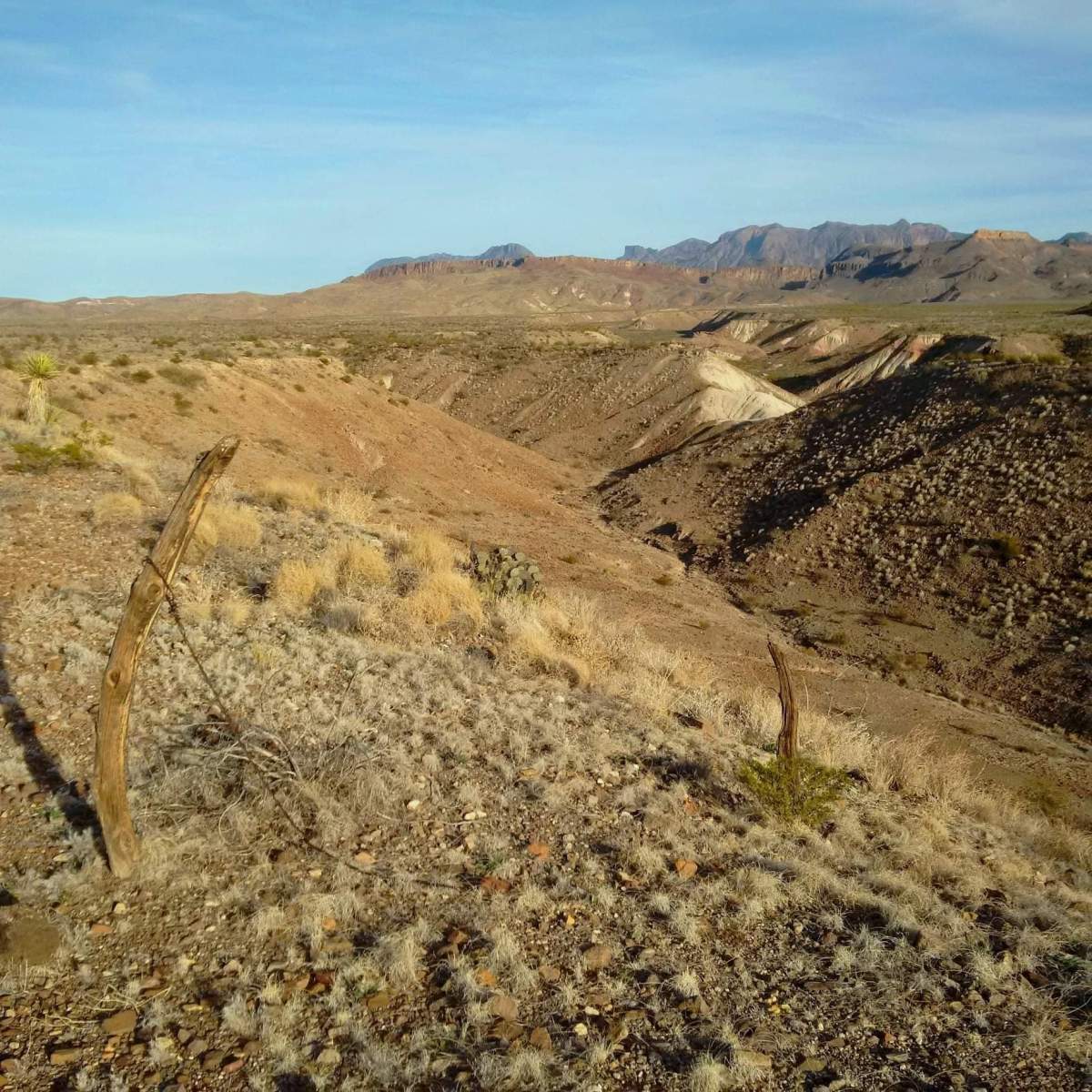 Ben. H. English Author