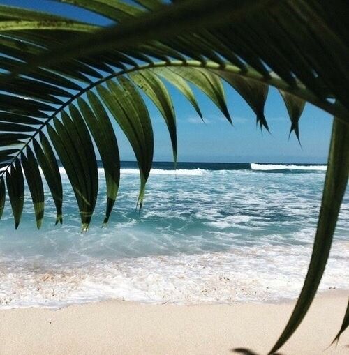 ‘Ace Daily News With Kindness & Wisdom’