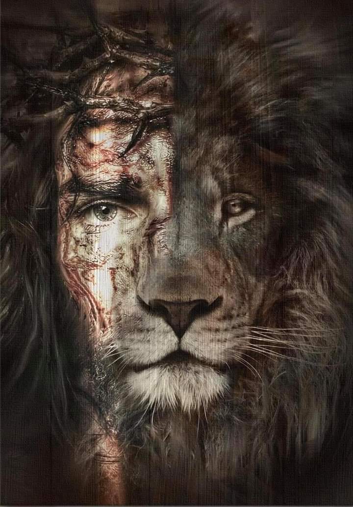 ‘Ace says …..its time for a news story that will never end as its the truth