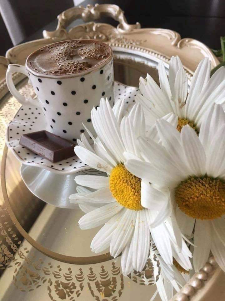 ‘Ace Daily News With Kindness & Wisdom’