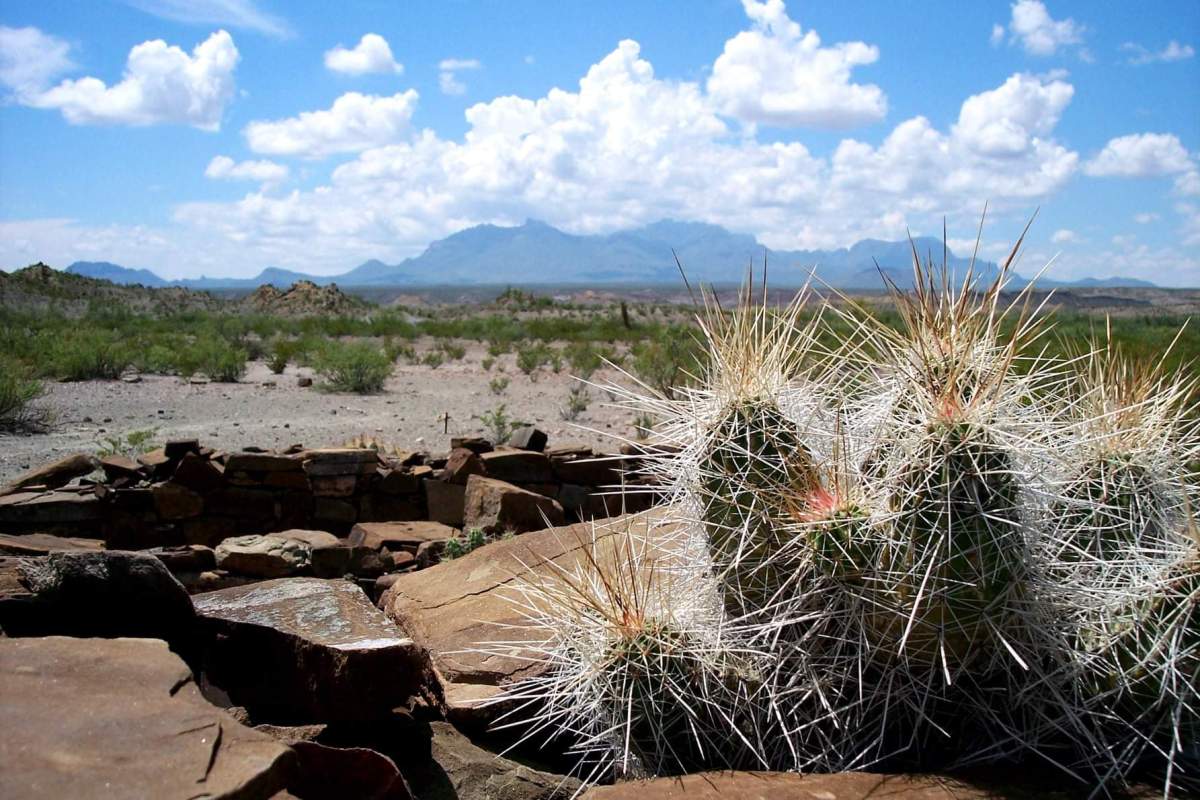 Ben.H. English ~Alpine ~ Texas