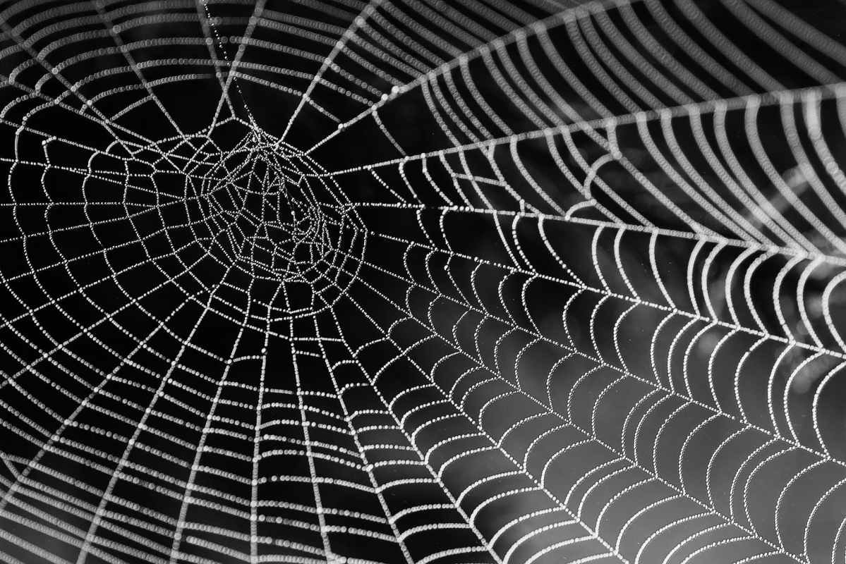 Love is web ~