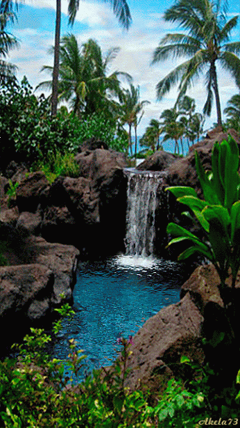 Science and psychology