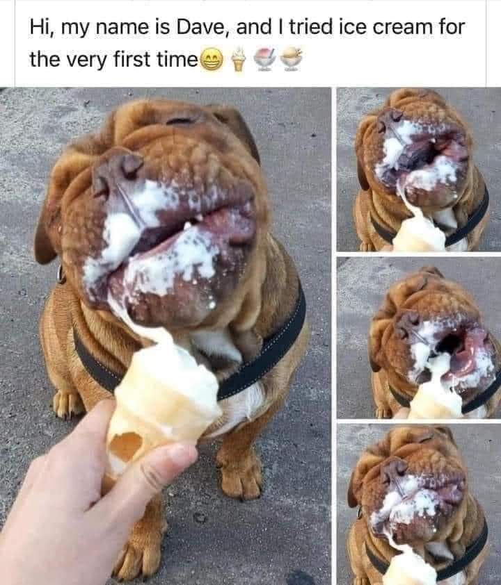 ‘Ace Daily News With Kindness & Wisdom’