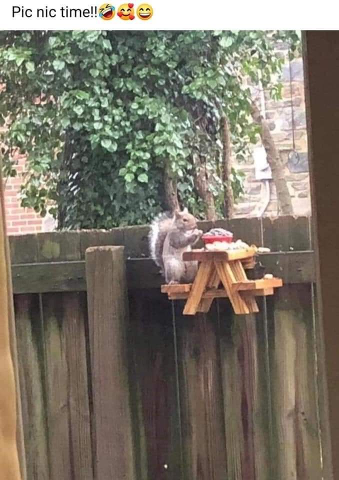 ‘Ace News Room China & Asia News Desk’