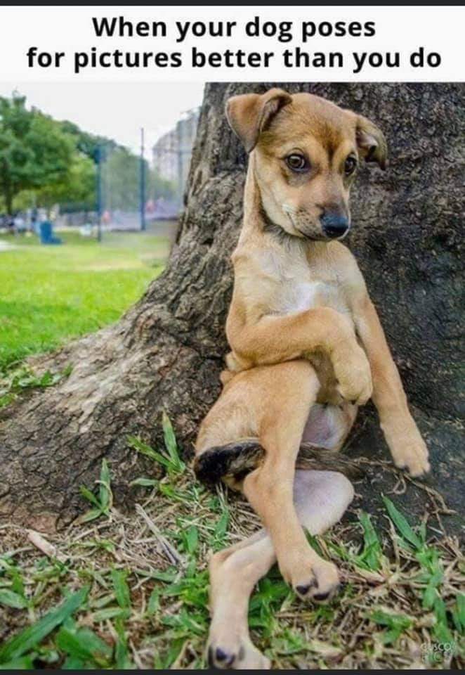 When you are gentle and kind within, you share this wellspring with others! Share this with someone you love and be blessed!