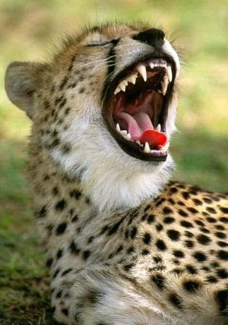 ‘Ace News Room With Kindness & Wisdom’