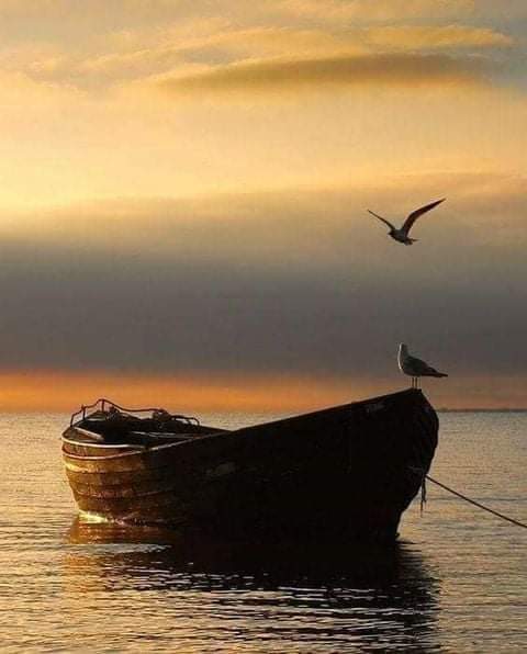 (AUSTRALIA) JUST IN: A Chinese spy ship has once again entered Australian waters to monitor our largest international war-games. And it’s using the same laws challenging Beijing’s claims to the South China Sea to do so #AceNewsDesk report