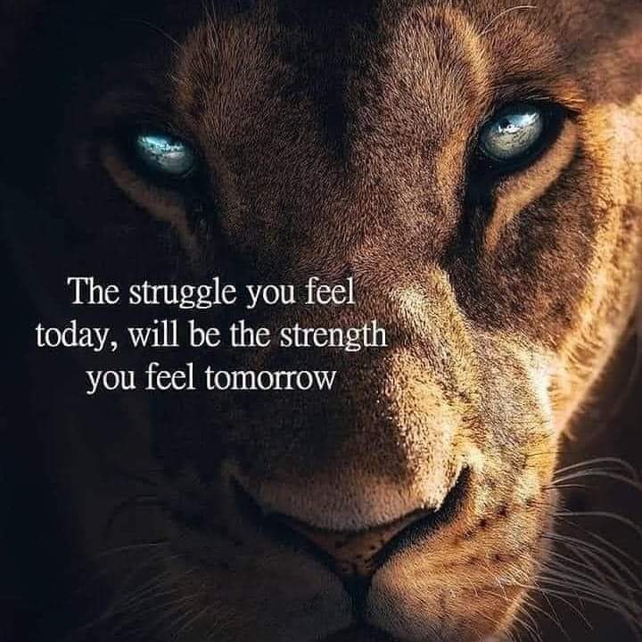 Patience is a gift ~