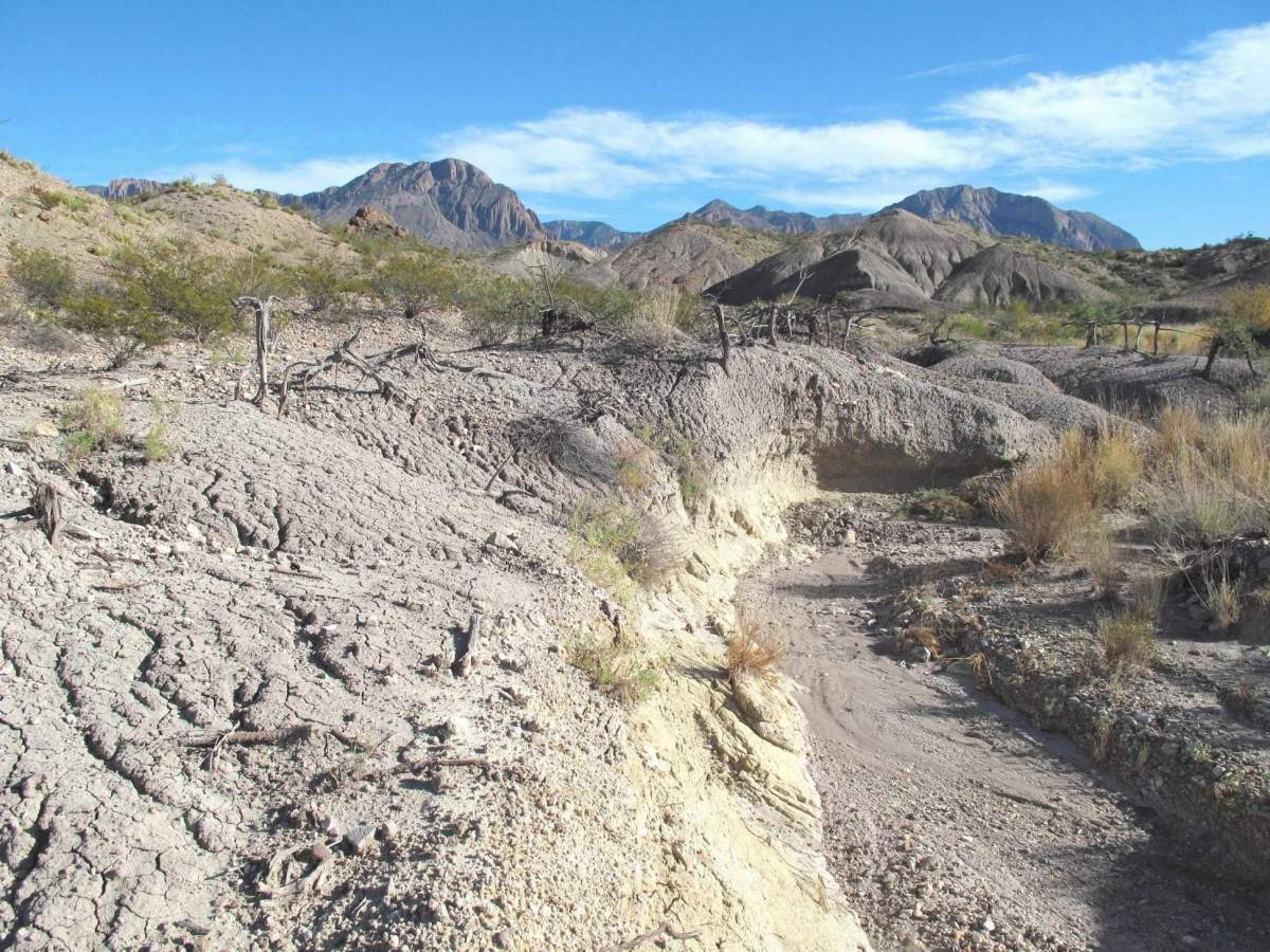 Ben H. English ~ Alpine ~ Texas ~ Big Ben National Park