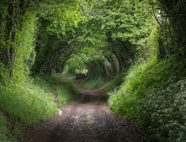 The Importance of Napping 😄