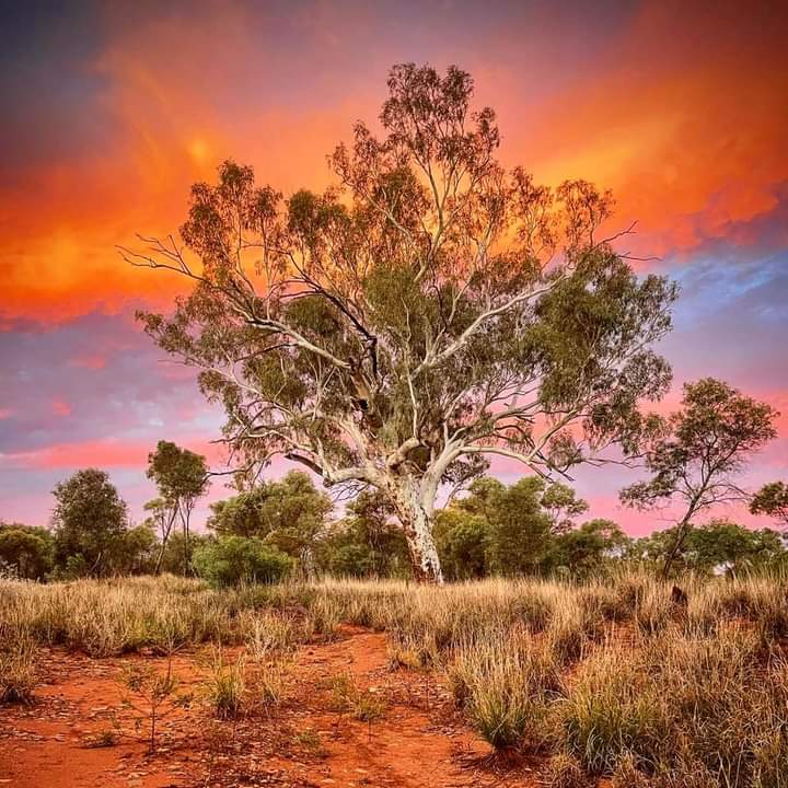 (AUSTRALIA) #Coronavirus Report: Queensland health officials are racing against time to trace new #COVID19 case according to 9News #AceHealthDesk report