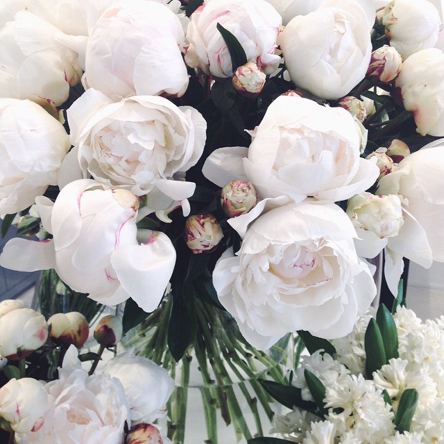 ‘Ace Daily News With Kindness & Wisdom’