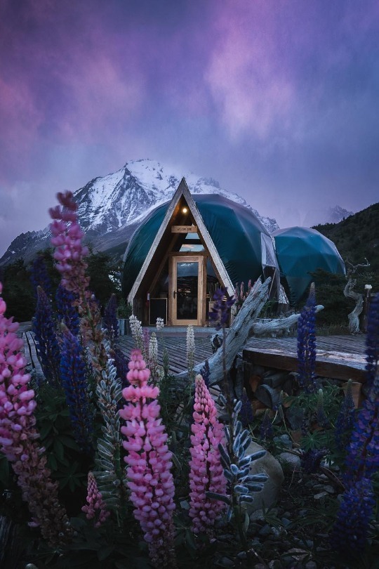 God needs you to understand ~