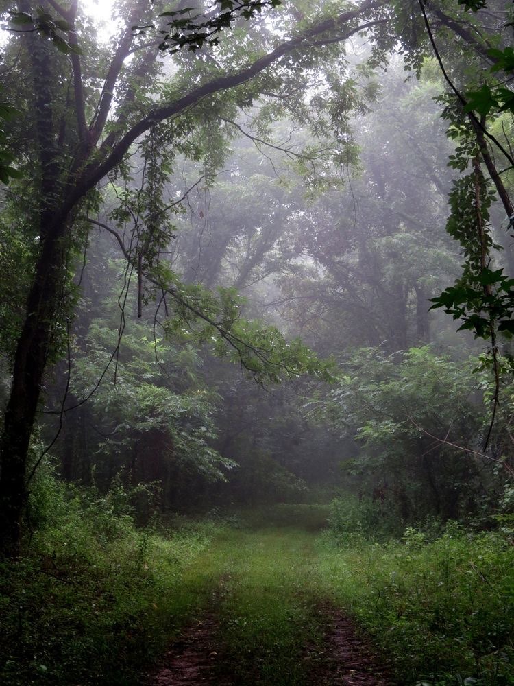 ‘Ace Daily News With Kindness & Wisdom’