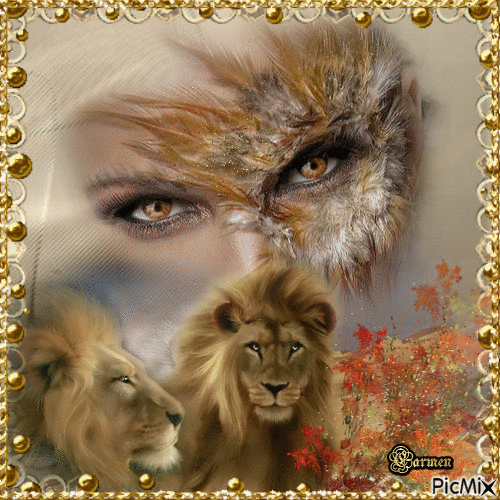 ‘ Ace News Room China & Asia News Desk’